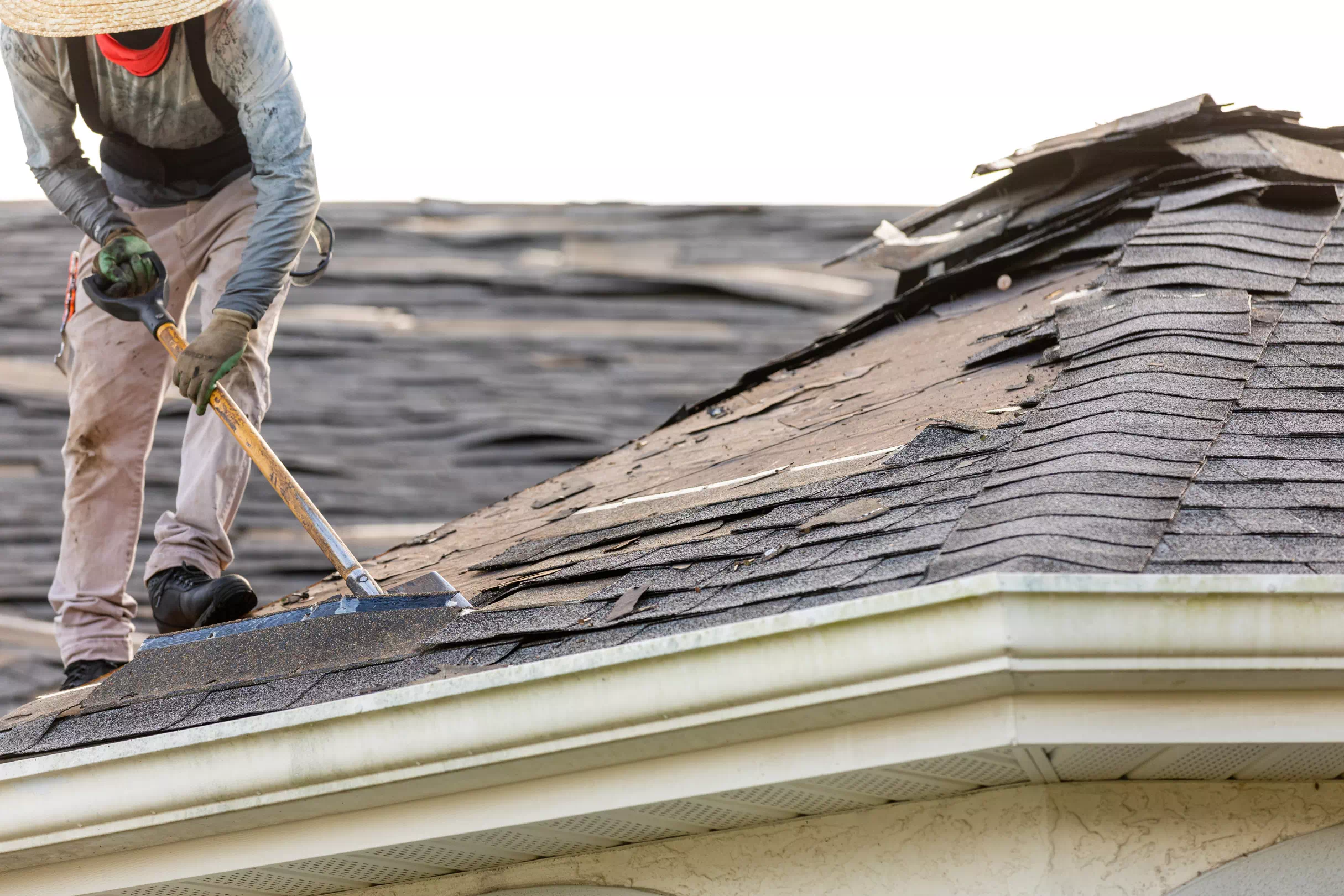 Roof replacement services