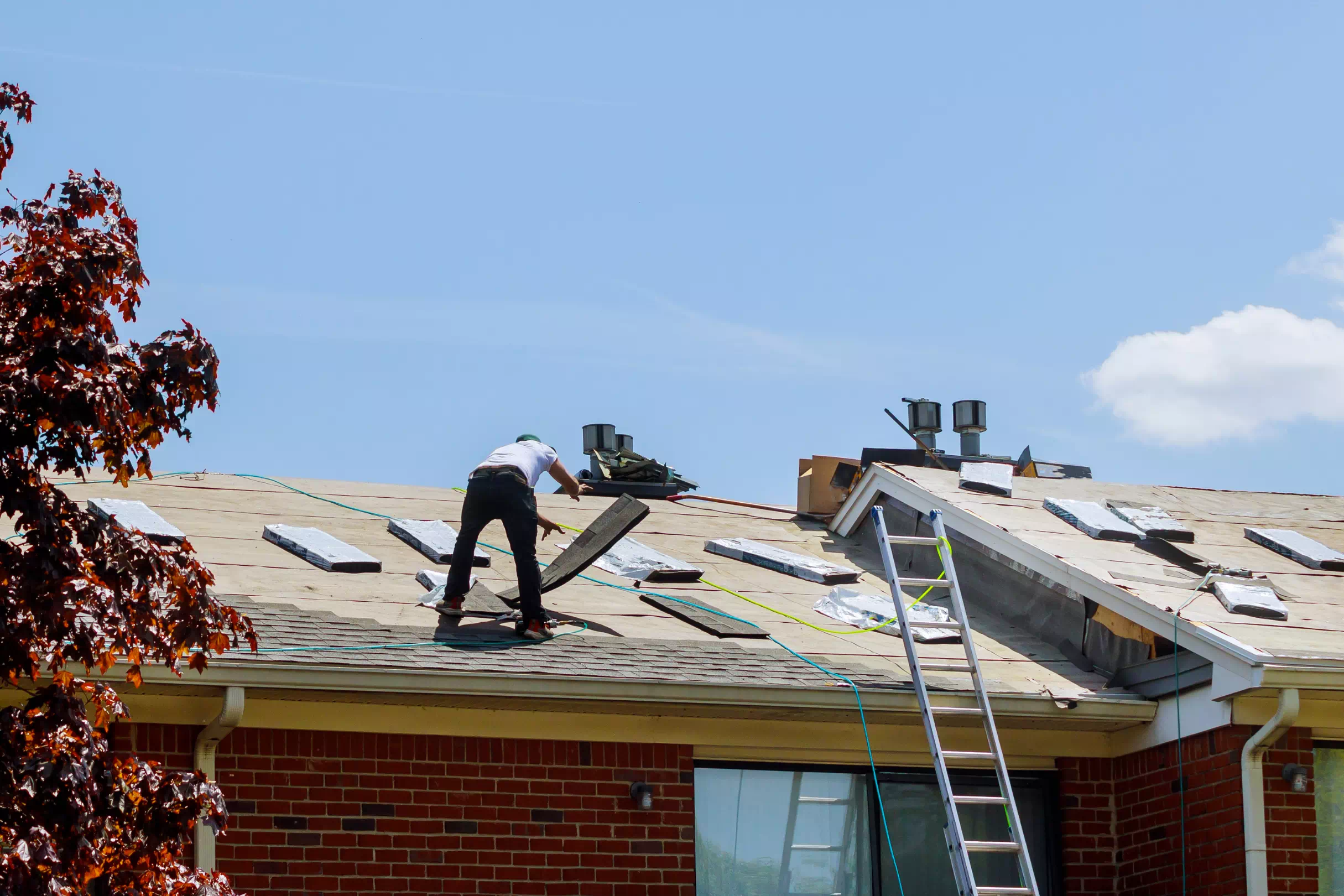 solar and heat pump